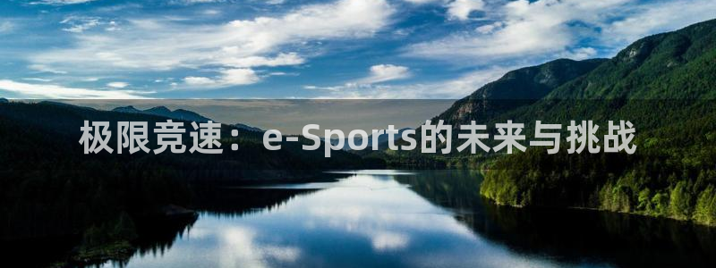 yy易游官方正版app集团E.ON:极限竞速:e-Sport