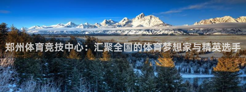 海南yy易游官网下载发展怎么样:郑州体育竞技中心:汇聚全国的