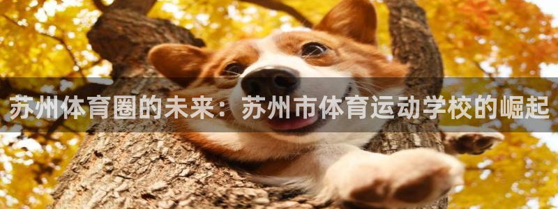yy易游官方正版app新能源:苏州体育圈的未来:苏州市体育运
